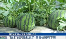 全球更新 52每日大瓜视频,52每日大瓜视频精彩回顾